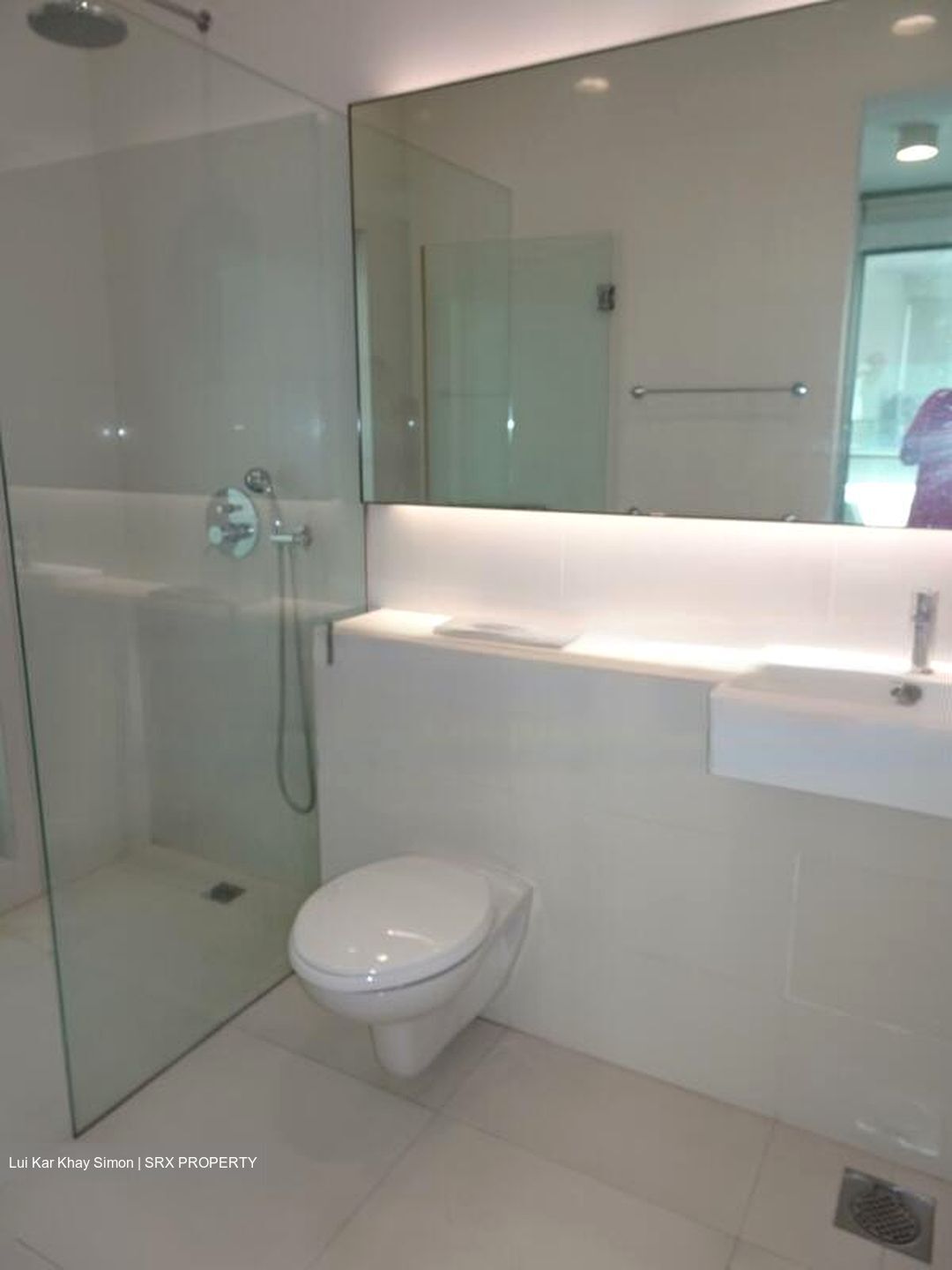 Bukit Timah Road (D10), Semi-Detached #477617151